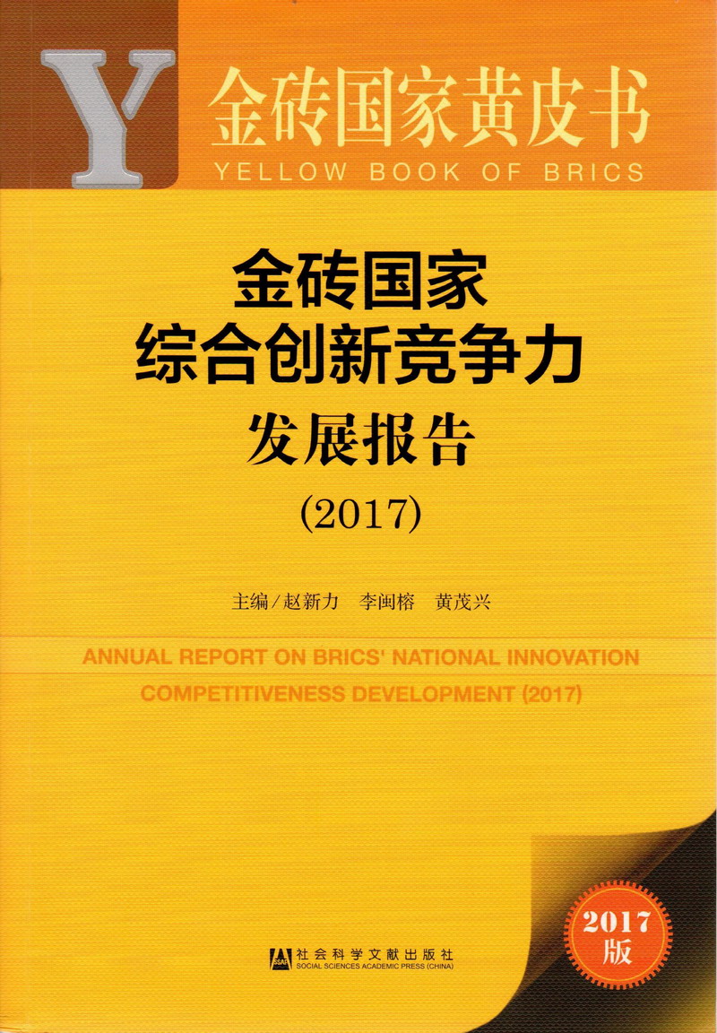 让我看看你的屄视频综合网金砖国家综合创新竞争力发展报告（2017）